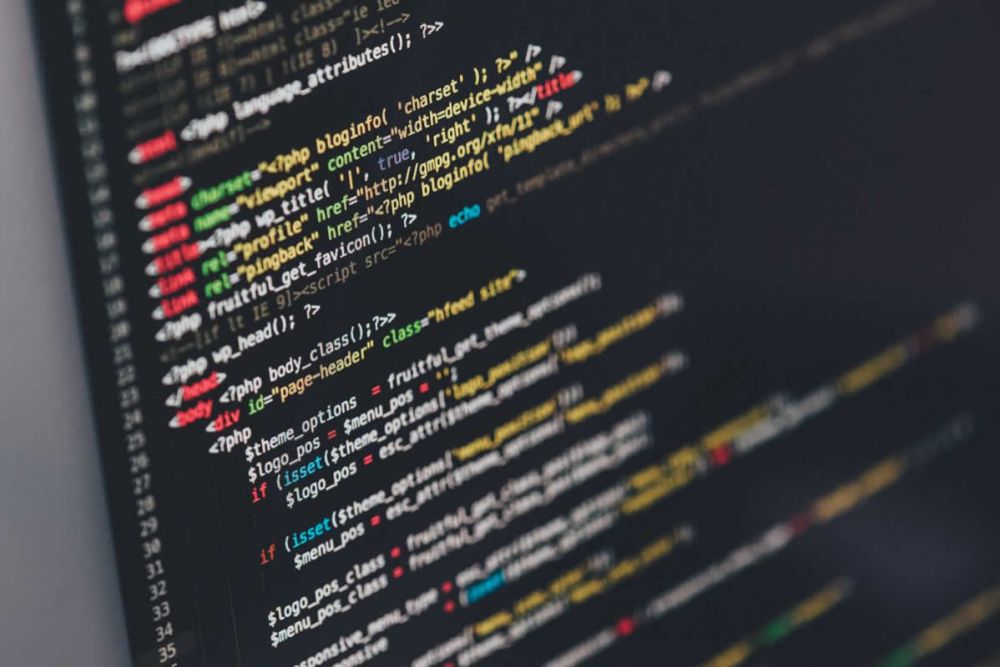 Web Design & Development
